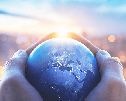 0033990威尼斯资本